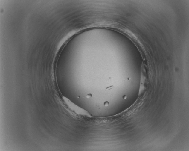 X0000073491230200608211642