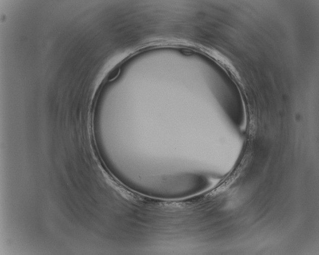 X0000073491231200608211642