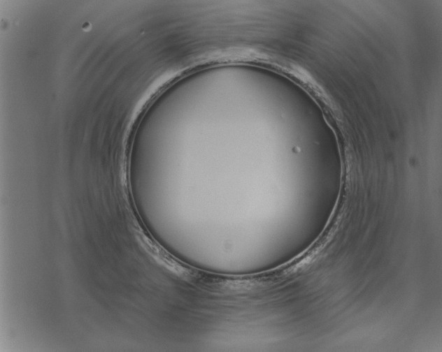 X0000073491232200608211642