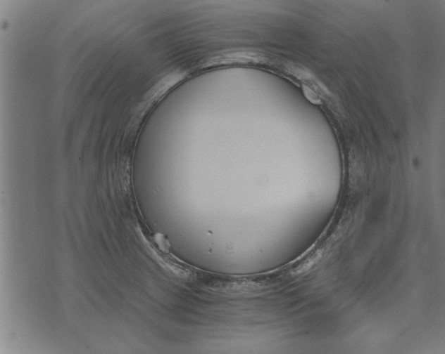 X0000073491233200608211642