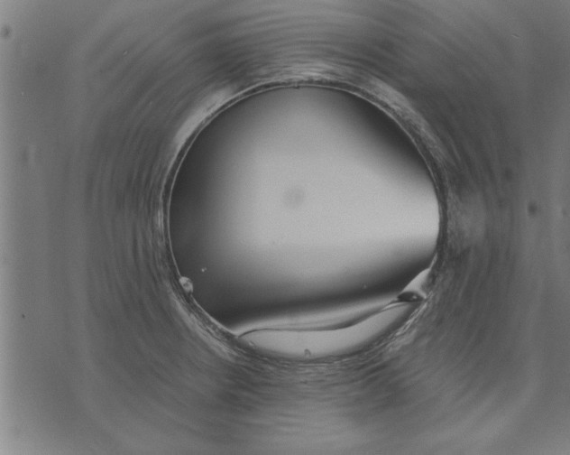 X0000073491234200608211642