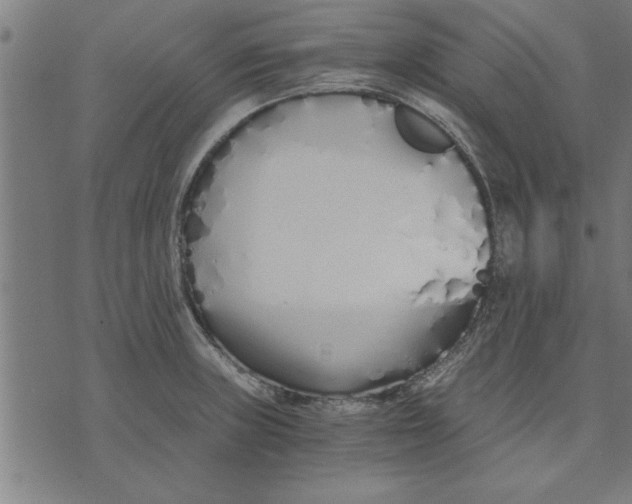 X0000073491235200608211642