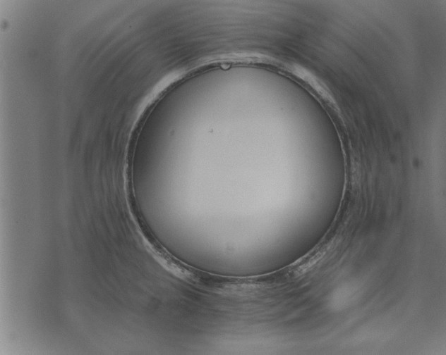 X0000073491237200608211642