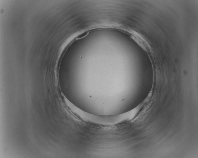 X0000073491238200608211642