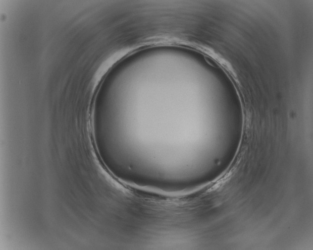 X0000073491239200608211642