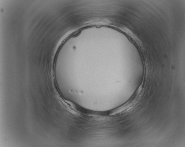 X0000073491240200608211642