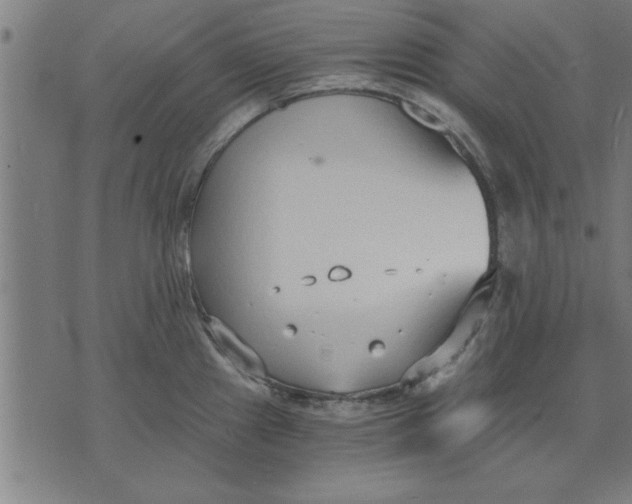 X0000073491241200608211642