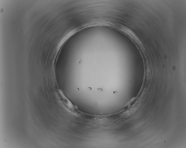 X0000073491242200608211642