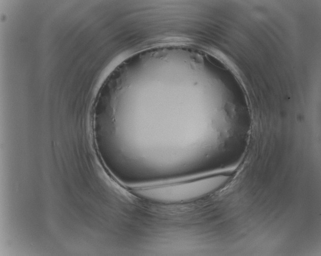 X0000073491243200608211642