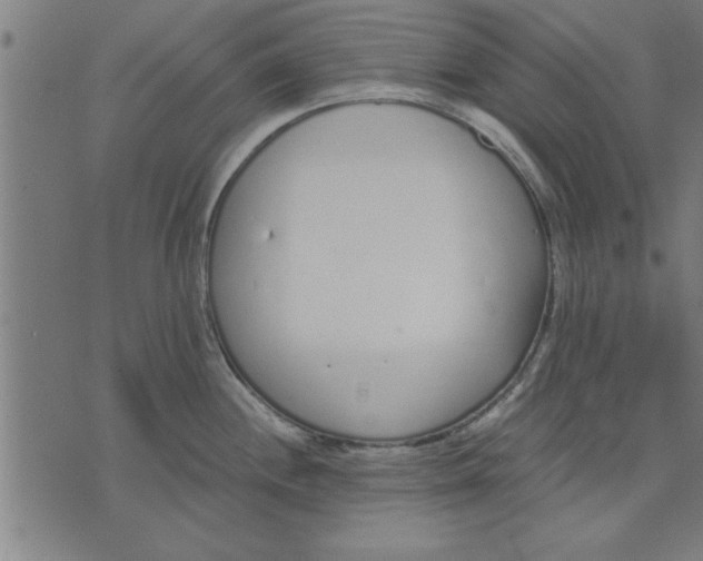 X0000073491244200608211642