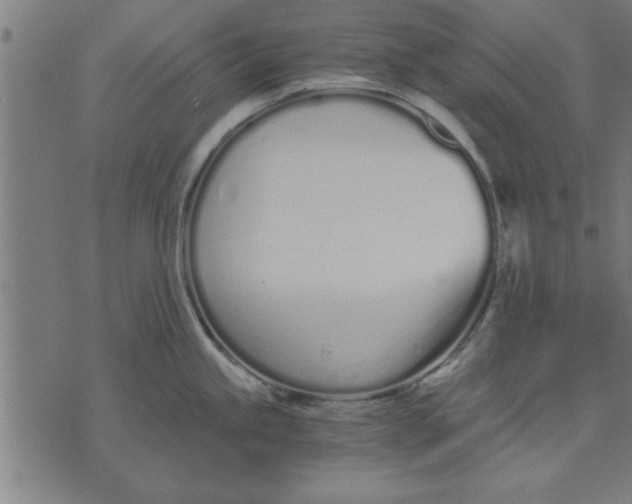 X0000073491245200608211642