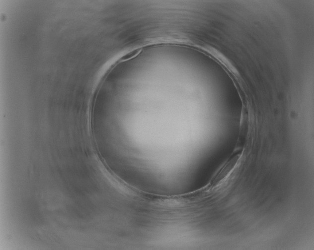 X0000073491246200608211642