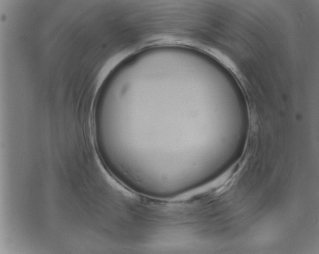 X0000073491247200608211642