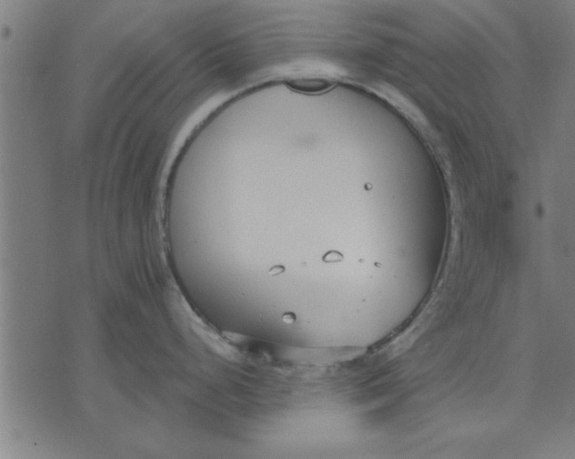 X0000073491248200608211642