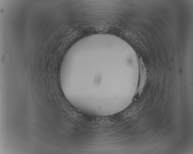 X0000073491249200608211641