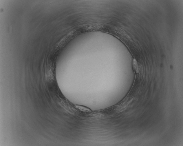 X0000073491250200608211641