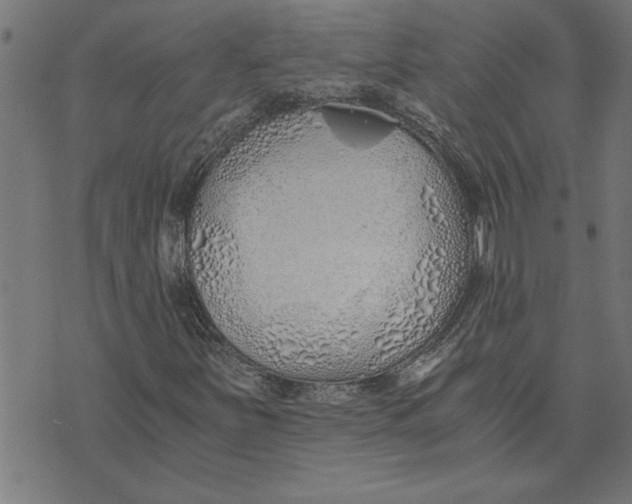 X0000073491251200608211641