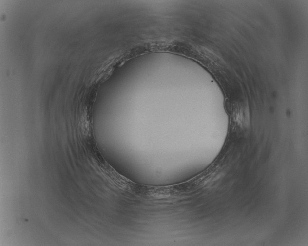 X0000073491252200608211641