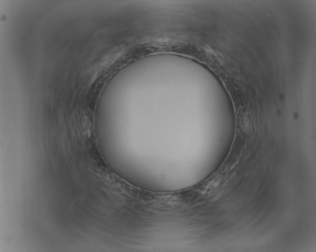 X0000073491253200608211641