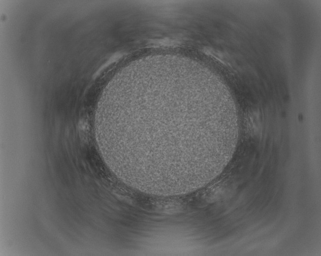 X0000073491254200608211641