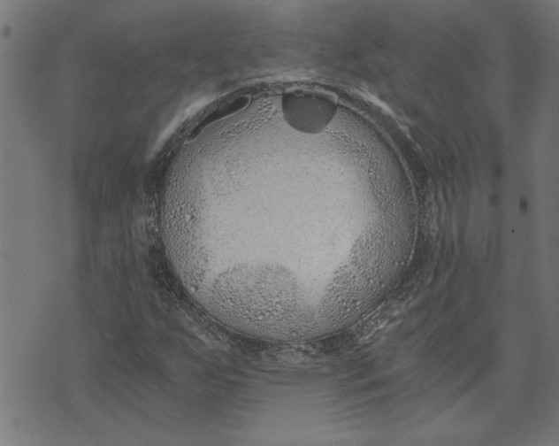 X0000073491255200608211641