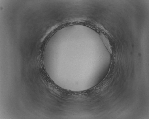 X0000073491256200608211641