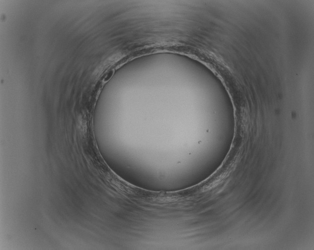 X0000073491257200608211641