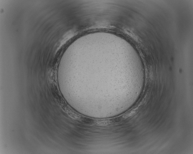 X0000073491258200608211641