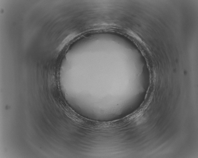 X0000073491259200608211641