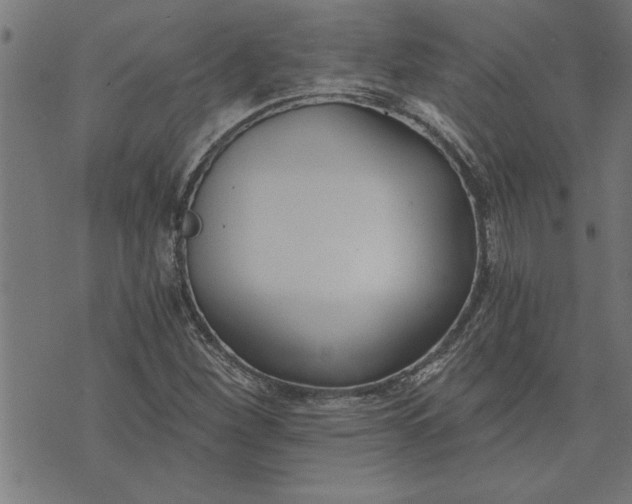 X0000073491260200608211641