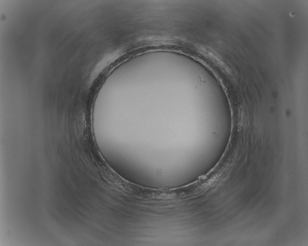 X0000073491261200608211641