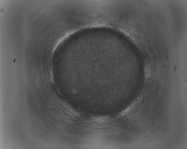 X0000073491262200608211641