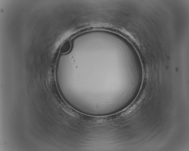 X0000073491263200608211641