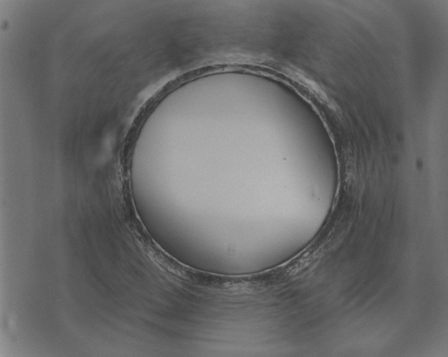 X0000073491264200608211641