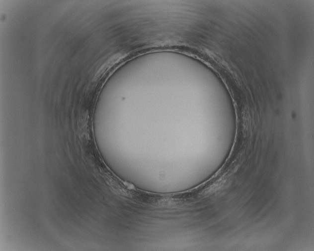 X0000073491265200608211641