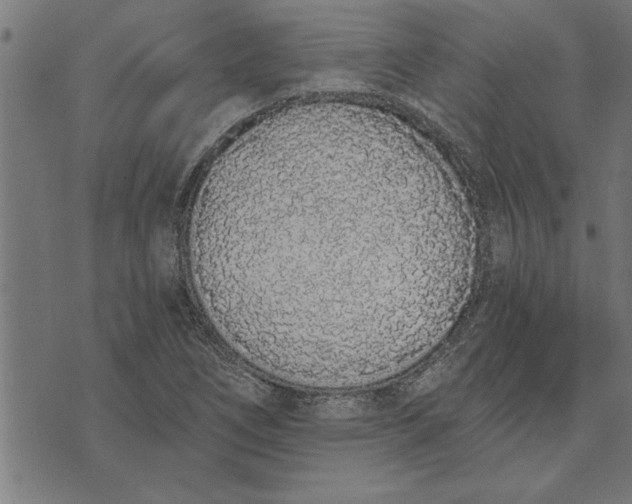 X0000073491266200608211641