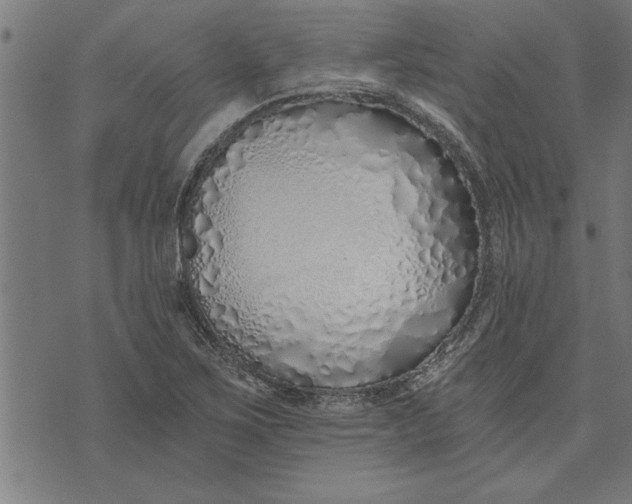 X0000073491267200608211641