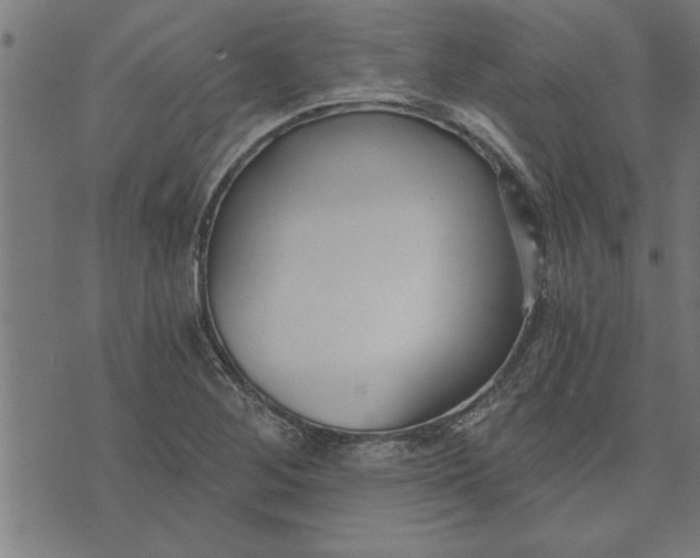 X0000073491268200608211641