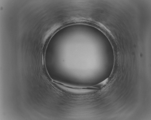 X0000073491269200608211641