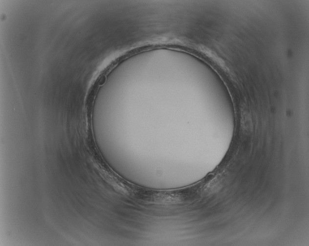 X0000073491270200608211641