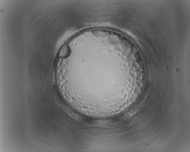 X0000073491271200608211641