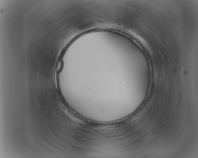 X0000073491272200608211641