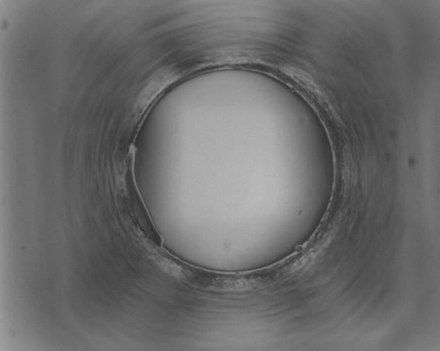 X0000073491273200608211641