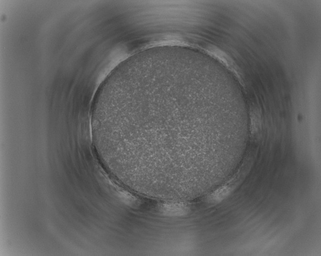 X0000073491274200608211641