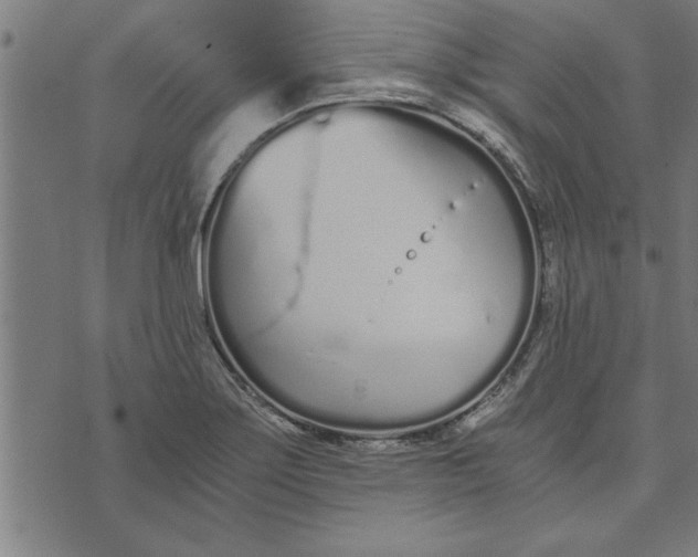 X0000073491275200608211641