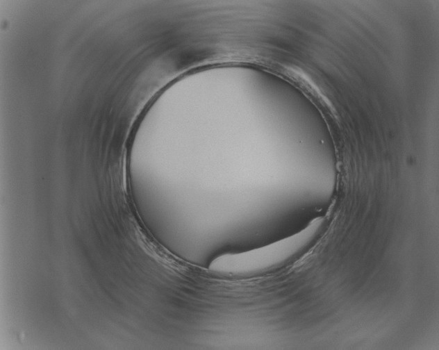 X0000073491276200608211641