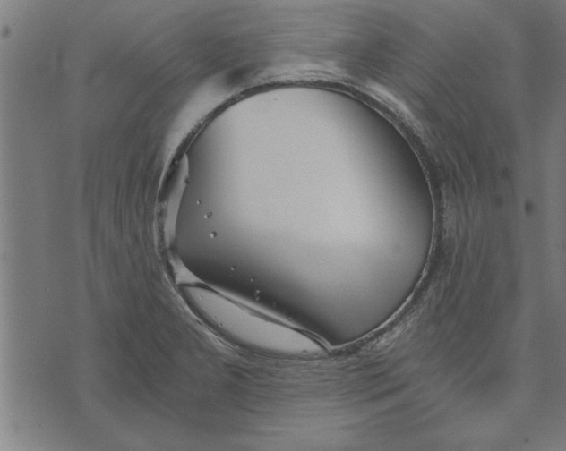 X0000073491277200608211641