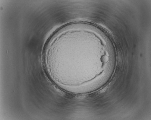 X0000073491278200608211641