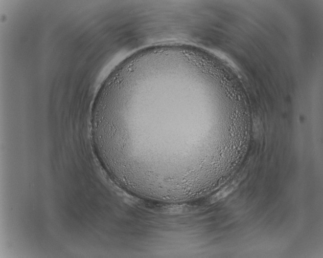 X0000073491279200608211641