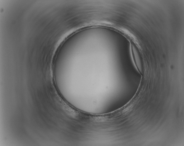 X0000073491280200608211641